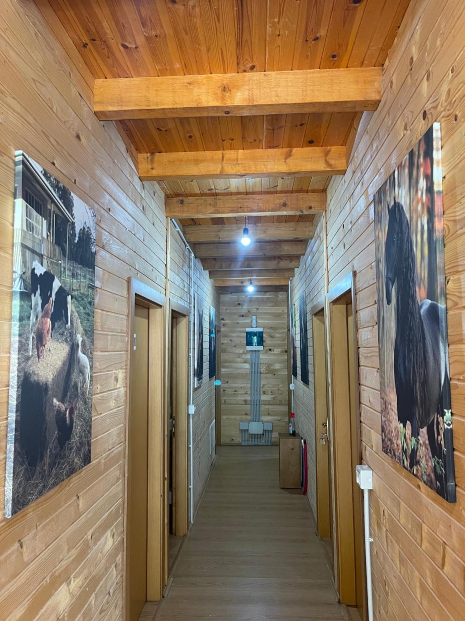 Alpinehouse Ξενοδοχείο Theth Εξωτερικό φωτογραφία
